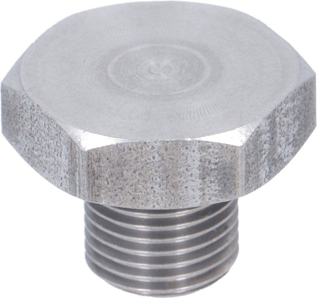 Plug 1/8 GAS Aisi304 with O-ring