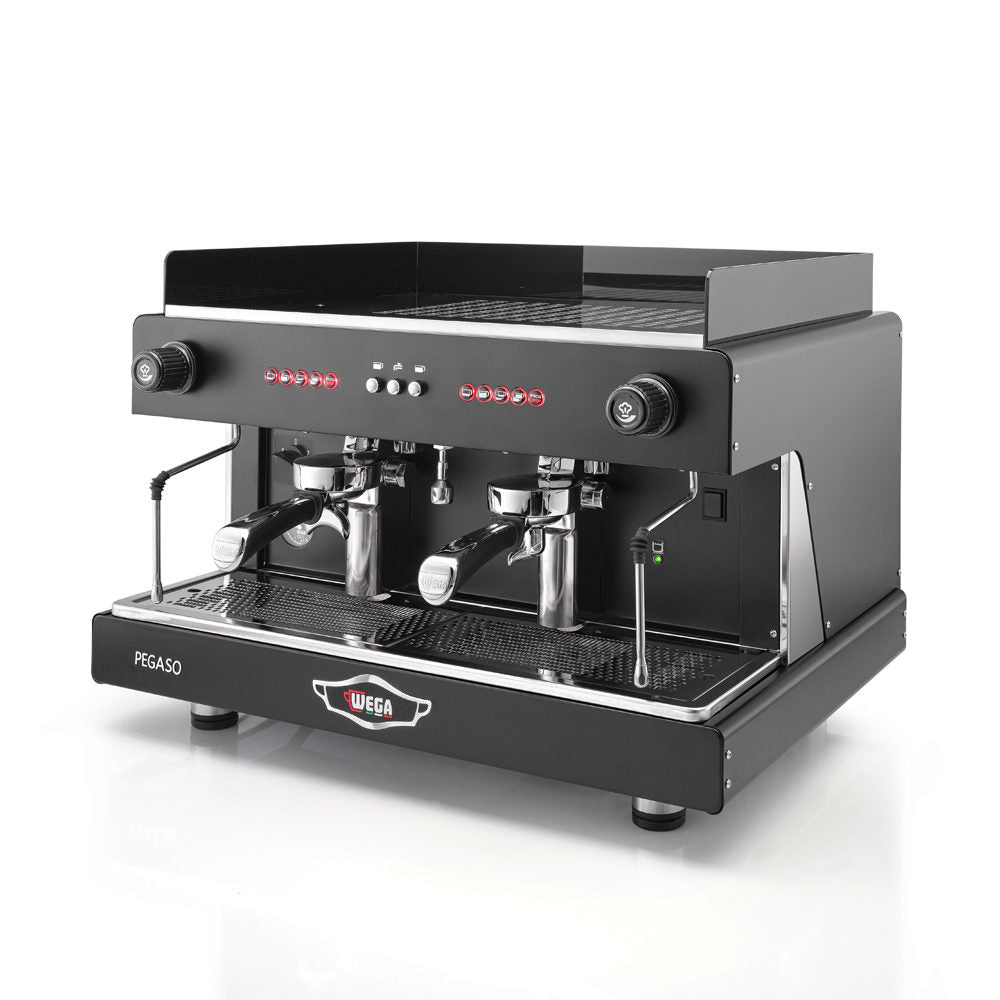 Model Wega Pegaso