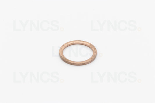 Gasket for Coffee Machines (1H6)