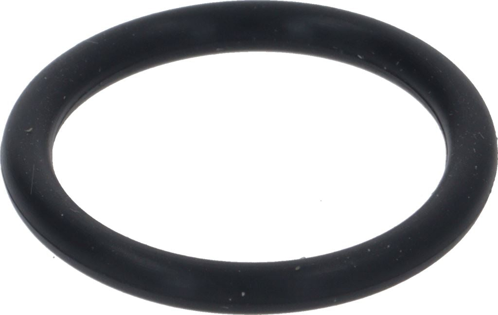 O-RING GASKET 20.29X2.62 NBR for Eagle Tempo Wand