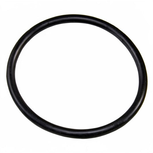 O-ring, group head flange