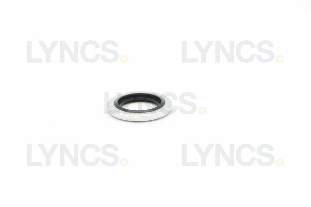 Bonded Washer