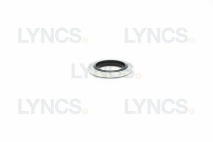 Bonded Washer