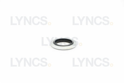 Bonded Washer