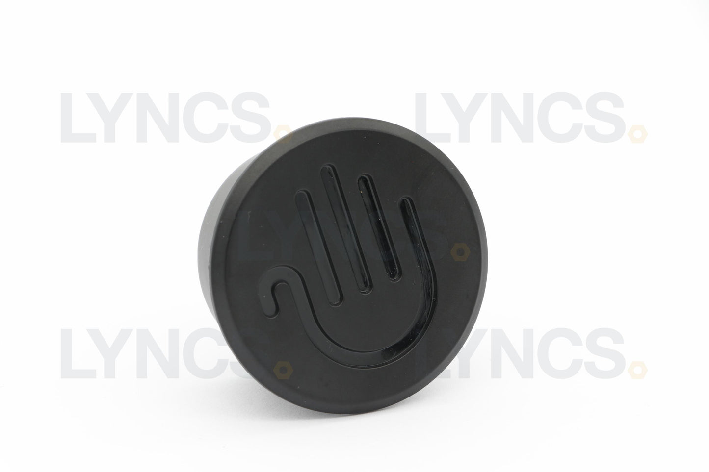 Logo Steam Cap
