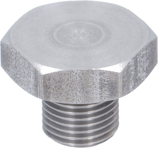 Plug 1/8 GAS Aisi304 with O-ring