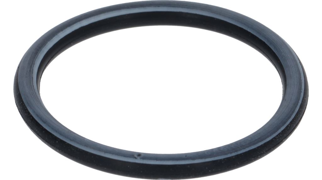Gasket O Ring 139/4131 D40 EP851