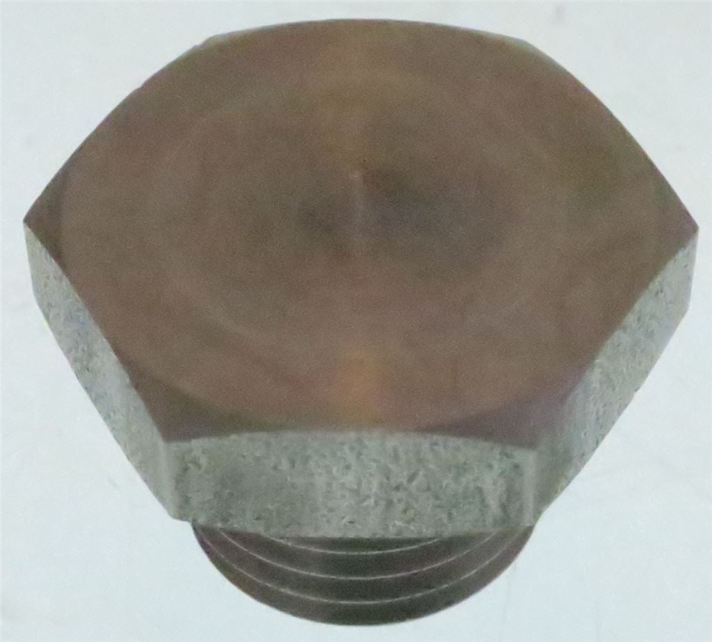 1/4 GAS Plug AISI 304 with O-Ring