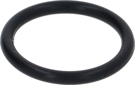 Gasket O Ring 114 D15 EP 851