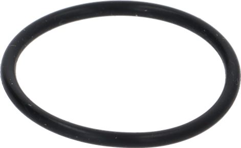 GASKET O RING 2093 D.27 EP851 - For Infusion Chamber